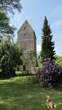 Ritterstein Nr. 137-9 Kath. dann Luth. Kirche 12.-18. Jh..JPG - Ritterstein Nr.137  Kath. dann Luth. Kirche 12.-18. Jh. 
